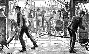 Trolley Gallery: Dockers unloading tea in London Docks, 1889