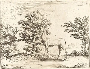 The Doe. Creator: Jacques Callot