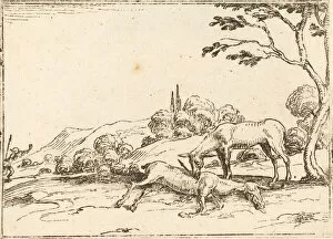 Killed Gallery: Doe Mourning her Foal. Creator: Jacques Callot