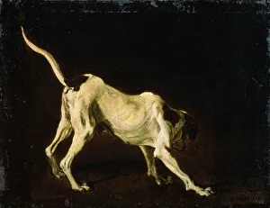 Scent Gallery: A Dog, 17th century. Artist: Frans Snyders