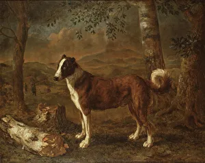 Dog and a Birch Log. Creator: Govert Dircksz Camphuysen