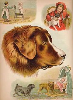 Animals & Pets Collection: The Dog, c1900. Artist: Helena J. Maguire