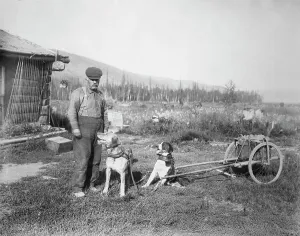 Alaska Prints: Dog cart, 1916. Creator: Unknown