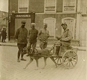 Dogcart Gallery: Dog-cart, France, c1914-c1918