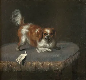 David Klöcker Ehrenstrahl Prints: The dog Courtisan, c17th century. Creator: Unknown