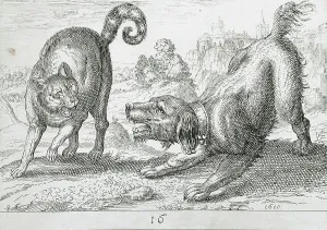 A Dog Fighting a Cat, 1610. Creator: Hendrick Hondius I