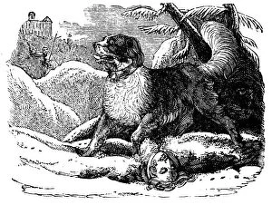 St Bernard Gallery: Dog from the Hospice of St Bernard finding a traveller in the snow, c1840