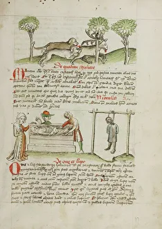 Fables Prints: A Dog Hunting a Stag: A Man Killed by Hanging and A Woman Laying