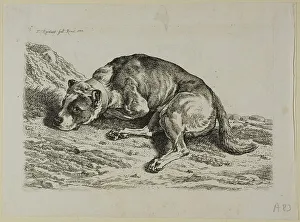 Laying Prints: Dog Laying Down, from from Die Zweite Thierfolge
