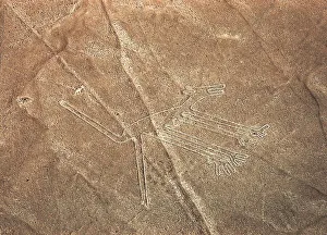 The Dog, Nazca Lines, Ica, Peru, 2015. Creator: Luis Rosendo