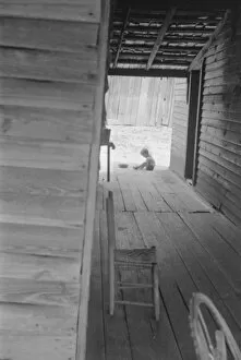 Dog run of Floyd Burroughs home. Hale County, Alabama, 1936. Creator: Walker Evans
