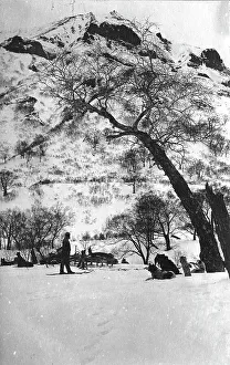 Russian Federation Prints: Dog sleds against the backdrop of the Kamchatka landscape