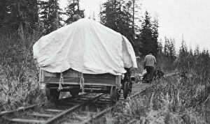 Covered Collection: Dog team pulling railroad cart, between c1900 and c1930. Creator: Unknown