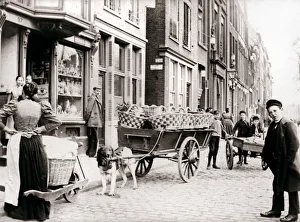 Batkin Prints: Dogcart, Antwerp, 1898. Artist: James Batkin