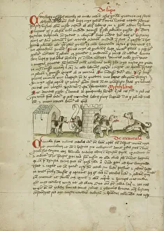Fables Prints: Two Dogs Barking and Cubs; Fables, third quarter of 15th century. Creator: Unknown