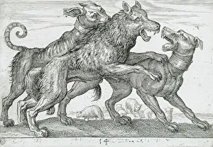 Three Dogs Fighting, 1610. Creator: Hendrick Hondius I