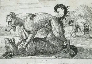 Two Dogs Fighting, 1610. Creator: Hendrick Hondius I