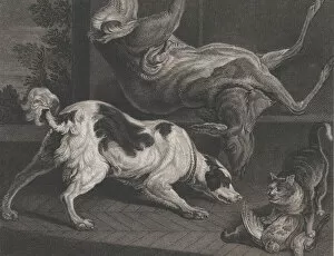 Alderman John Boydell Gallery: Dogs and Still Life, 1778. Creators: Pierre-Charles Canot, Joseph Farington