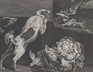 Dogs and Still Life, 1778. Creators: Pierre-Charles Canot, Joseph Farington