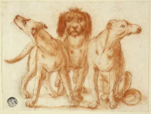 Stumping Prints: Three Dogs, n.d. Creator: Unknown