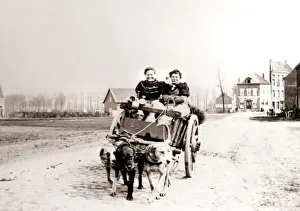 Dogcart Gallery: Dogs pulling women on a cart, Antwerp, 1898.Artist: James Batkin