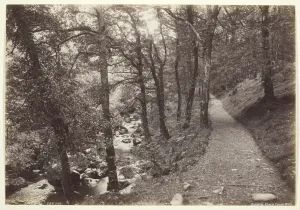 Bedford Francis Prints: Dolgelley, View in Torrent Walk, 1860 / 94. Creator: Francis Bedford