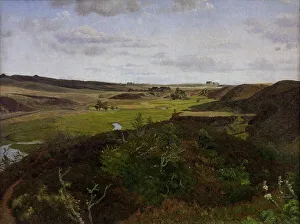 Nature Reserve Prints: Dollerup Hills near Hald, 1869. Creator: Vilhelm Kyhn