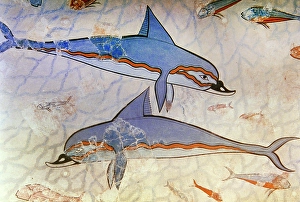 Dolphin fresco, detail, Queen's Megaron, Palace of Knossos, Minoan, Crete, Greece, Bronze Age (2000) Creator: Unknown