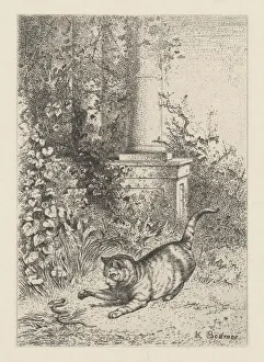 Bodmer Karl Prints: A Domestic Cat Playing with a Garter Snake, ca. 1860. Creator: Karl Bodmer