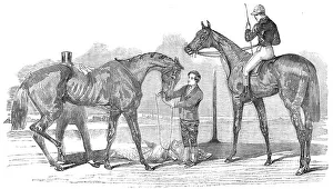 Winners Prints: The Doncaster Winners: St. Leger - Knight of St
