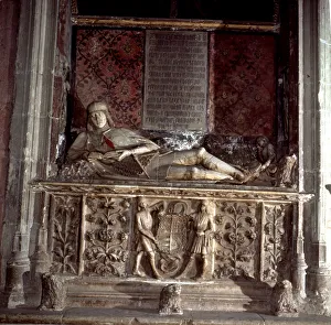 Images Dated 4th May 2007: Doncel of Sigüenza, young nobleman Martin Vazquez de Arce (1460-1486)