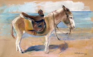 Donkey on the beach of Noordwijk, 1908. Creator: Liebermann, Max (1847-1935)