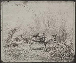 A Donkey in the Field, original impression 1862, printed in 1921 A Donkey in the Field, original impression 1862, printed in 1921