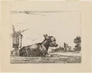 Windmill Gallery: Donkey Resting, 1642. Creator: Stefano della Bella