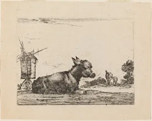 Donkey Resting, 1642. Creator: Stefano della Bella
