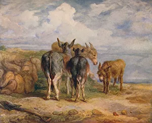 James Ward Prints: Donkeys, c1831 (1904). Artist: James Ward
