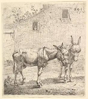 Jardin Prints: Two donkeys standing in a grassy yard, one in profile view facing right