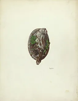 Door Knocker Prints: Door Knocker, c. 1940. Creator: Winifred Luten