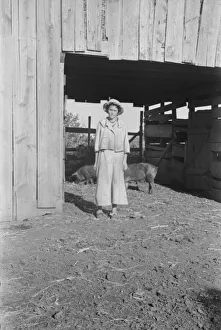 Pigs Prints: Dora Mae Tengle, Hale County, Alabama, 1936. Creator: Walker Evans