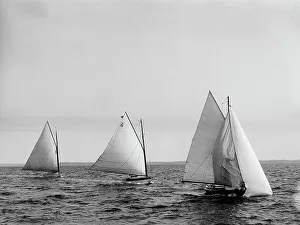 Spinnaker Prints: Dosoris 2, Qui Vive, and Dipper, 1894 July 29. Creator: Johns Johnston