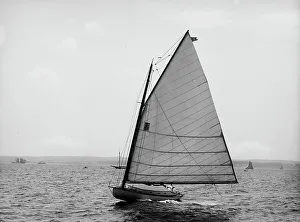 Dot, 1899 June 20. Creator: Johns Johnston