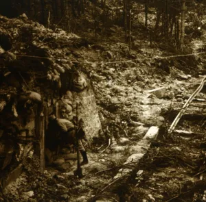 Lorraine Prints: Douaumont, northern France, c1914-c1918