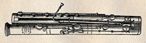 Musical Educator Prints: The Double Bassoon, 1895. Creator: Unknown