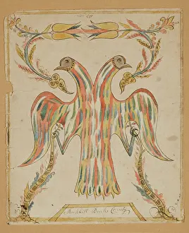 Tulipa Prints: Double Eagle, early 19th century. Creator: Unknown