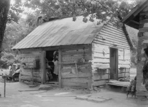 Sharecropping Prints: Double log cabin of Negro share tenants who raise tobacco