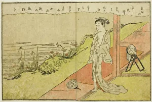 Double-page Illustration from Vol. 2 of Picture Book of Spring Brocades