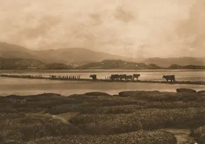 The Dovey at Ynyslas, 1902