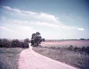 Vanishing Point Prints: Downland scene near Aldworth, Berkshire, c1955. Creator: Arthur Charles Kirby Ware