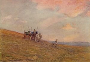 Holme Collection: On the Downs Near Harting, c1870-1906, (1906). Creator: James Aumonier