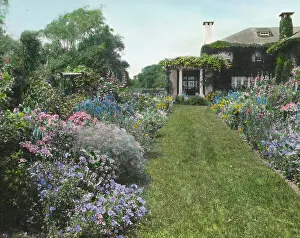 Trail Prints: Dr. Frederick Kellogg Hollister house